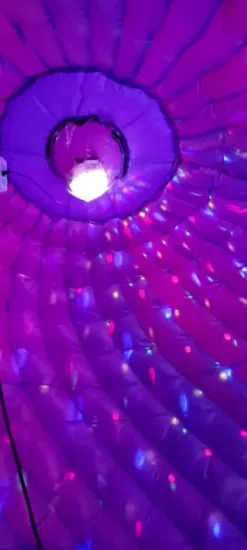 Colorful Inflatable Disco Bouncer for Jumping Dancing with LED Disco Ball Dome Tent Bounce